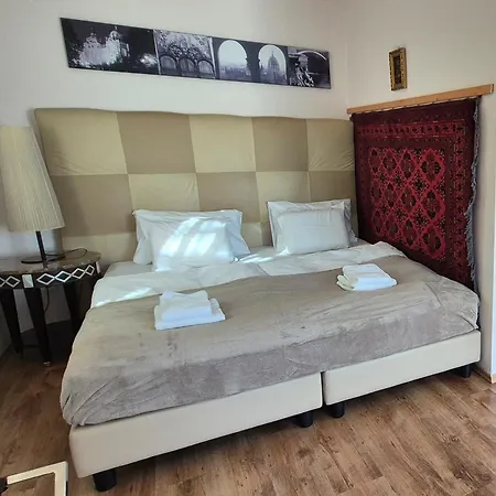 Sofia Premium Free Parking *