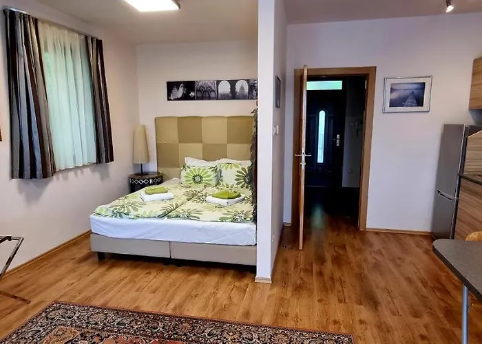 Apartament Sofia Premium Free Parking Budapeszt