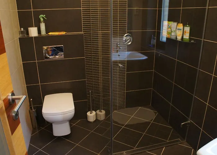 Sofia Premium Free Parking