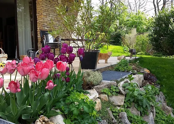 Sofia Premium Free Parking דירה